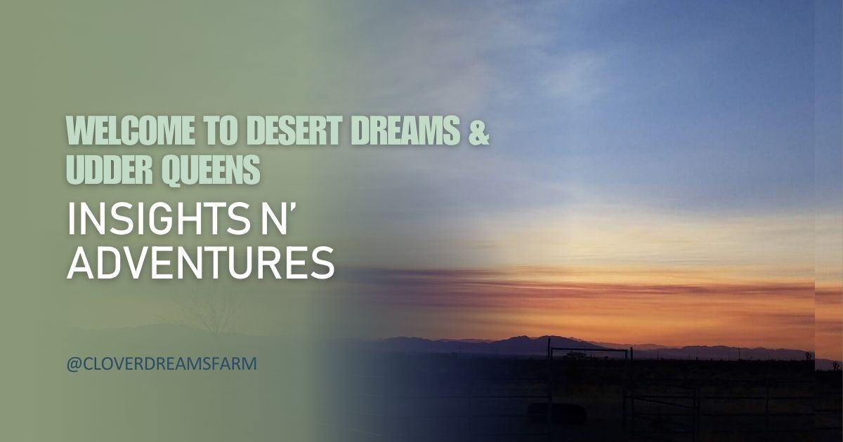 Welcome to Desert Dreams & Udder Queens: Insights n’ Adventures